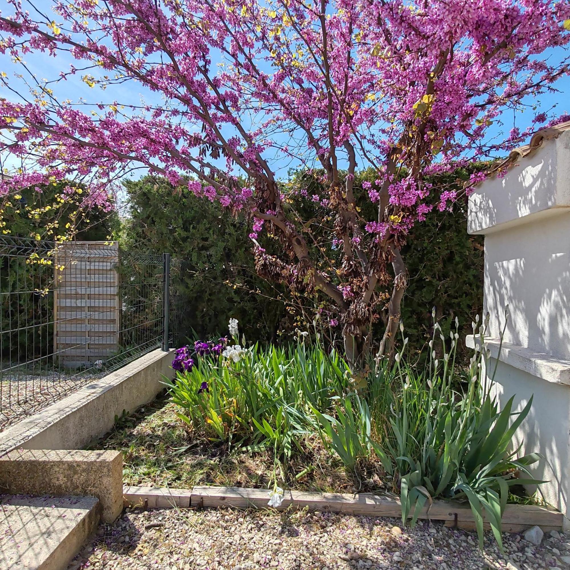 La Maison De Celine Beaumes-de-Venise Exterior foto